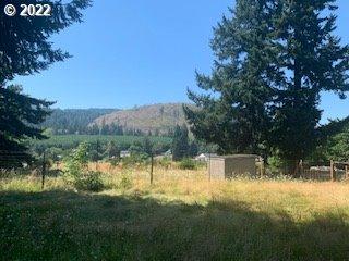 121 Metzger Rd, Carson, WA 98610 photo 1