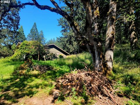 13746 Parrish Gap Rd, Jefferson, OR 97352 photo 1