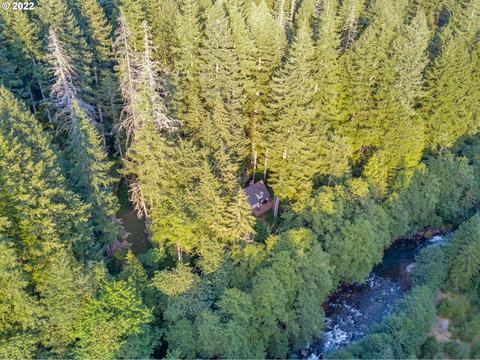 25993 E Henry Creek Rd #27, Rhododendron, OR 97049