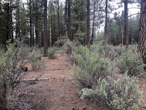 Corbell Dr, Chiloquin, OR 97624 photo 5