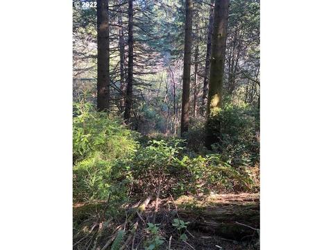 Park Rd, Port Orford, OR 97465