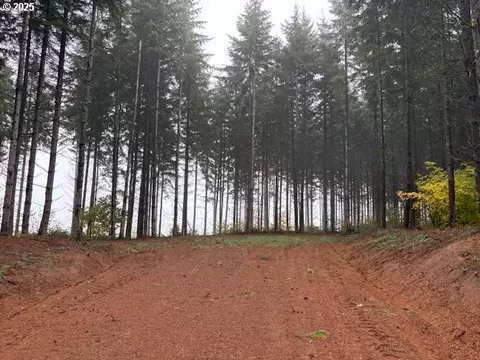 00 Cater Rd, Warren, OR 97053 photo 20