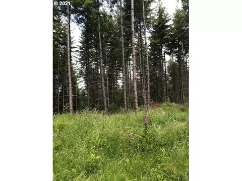 00 Cater Rd, Warren, OR 97053 photo 3