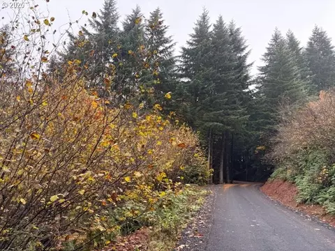 00 Cater Rd, Warren, OR 97053 photo 14