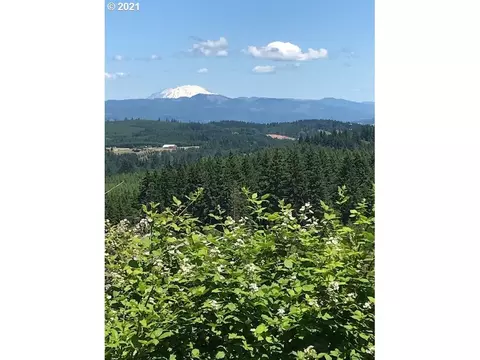 00 Cater Rd, Warren, OR 97053