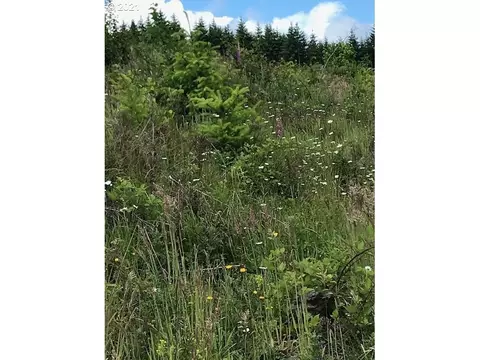 00 Cater Rd, Warren, OR 97053 photo 9