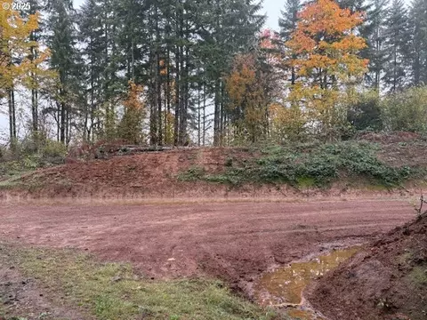 00 Cater Rd, Warren, OR 97053 photo 18