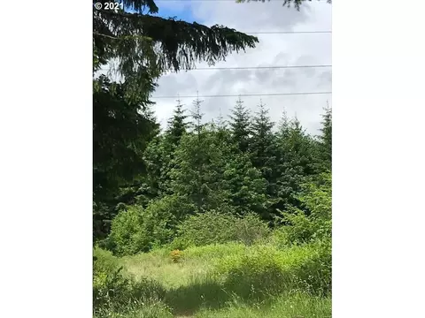 00 Cater Rd, Warren, OR 97053 photo 5