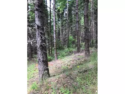 00 Cater Rd, Warren, OR 97053 photo 6