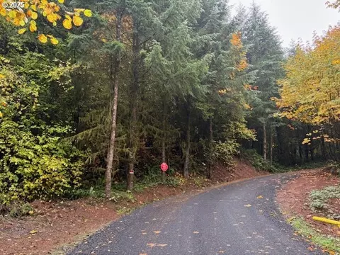 00 Cater Rd, Warren, OR 97053 photo 11