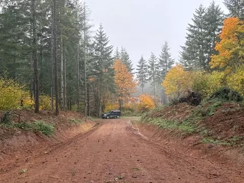 00 Cater Rd, Warren, OR 97053 photo 21