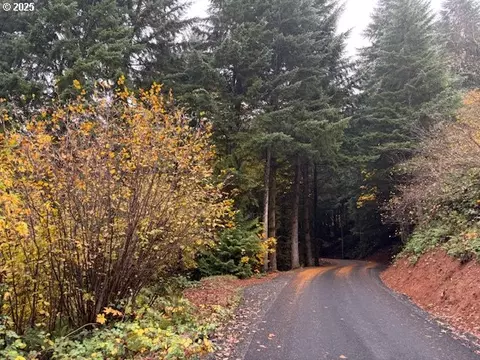 00 Cater Rd, Warren, OR 97053 photo 15