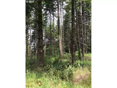 00 Cater Rd, Warren, OR 97053 photo 4