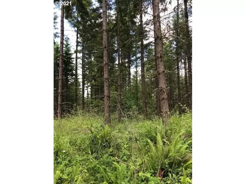 00 Cater Rd, Warren, OR 97053 photo 2