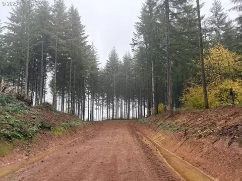 00 Cater Rd, Warren, OR 97053 photo 19