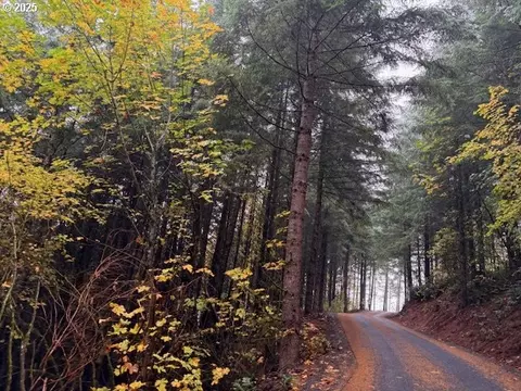 00 Cater Rd, Warren, OR 97053 photo 16