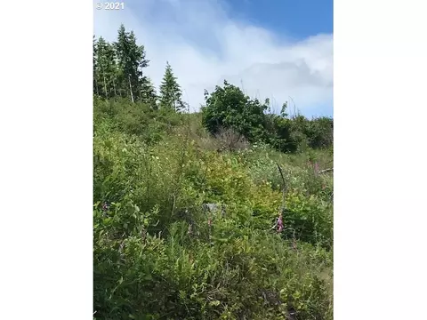 00 Cater Rd, Warren, OR 97053 photo 8