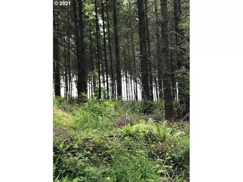 00 Cater Rd, Warren, OR 97053 photo 7
