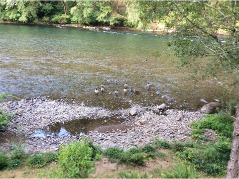 48142 Conley Rd, Vida, OR 97488 photo 1