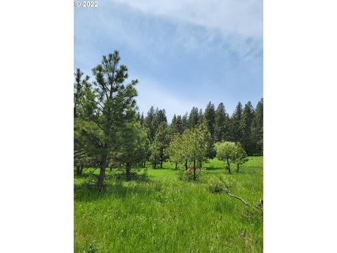 Myers Rd, Summerville, OR 97876