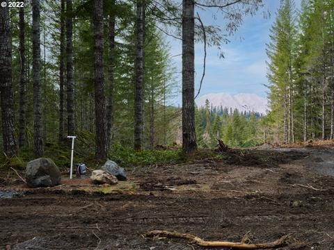 Lahar Ln, Cougar, WA 98616