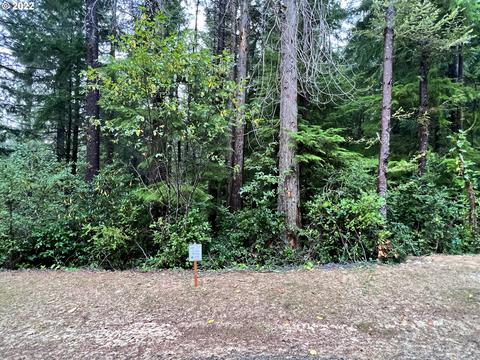 Little Woahink Dr, Florence, OR 97439
