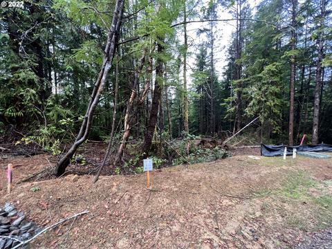 Little Woahink Dr, Florence, OR 97439