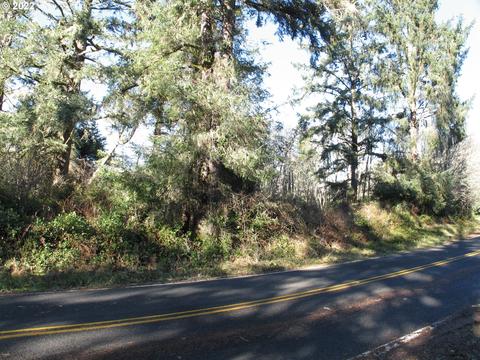 38807 Stackpole Rd, Oysterville, WA 98641 photo 1