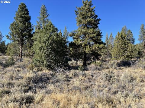 Drews Rd, Sprague River, OR 97639