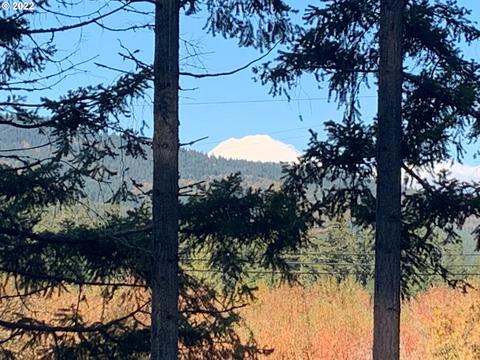 Mckenzie Ln, White Salmon, WA 98672