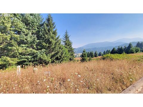 Hiland Ranch Dr, Oakridge, OR 97463
