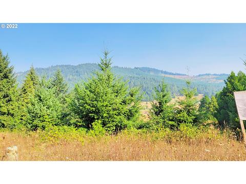 hiland ranch dr, Oakridge, OR 97463