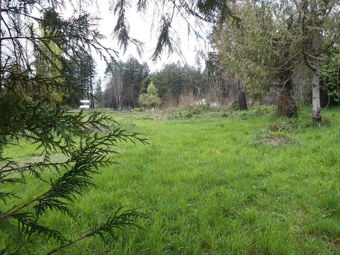 45663 N Gate Creek Rd, Vida, OR 97488