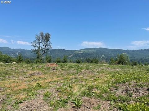 42406 NW 8th Ave, Woodland, WA 98674