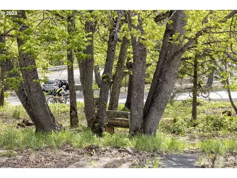 Asher St, Mosier, OR 97040 photo 11
