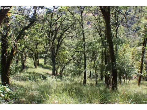 345 Sierra Dr, Roseburg, OR 97471