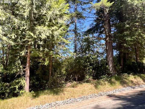 Little Woahink Dr, Florence, OR 97439