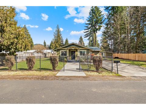271 Vine Maple Loop, Carson, WA 98610 photo 1