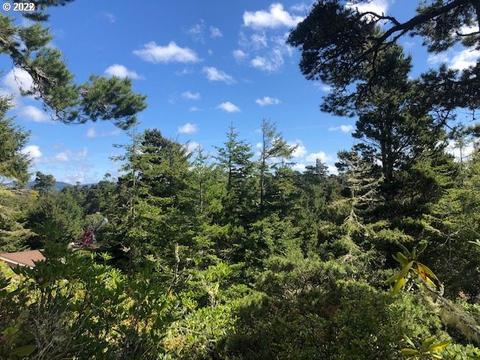 Windleaf Way, Florence, OR 97439