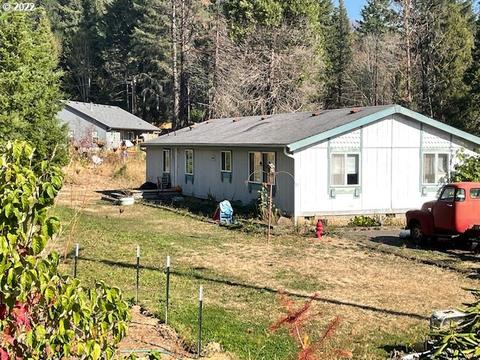 51162 Blue River Dr, Vida, OR 97488 photo 1