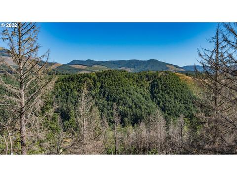 349 N Maple Dr, Otis, OR 97368