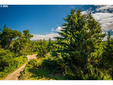 Heceta Beach Rd, Florence, OR 97439