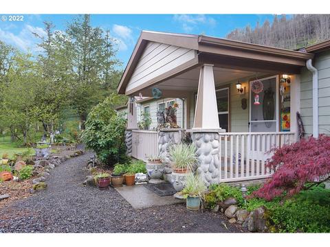 40176 Ak Ln, Lyons, OR 97358 photo 1