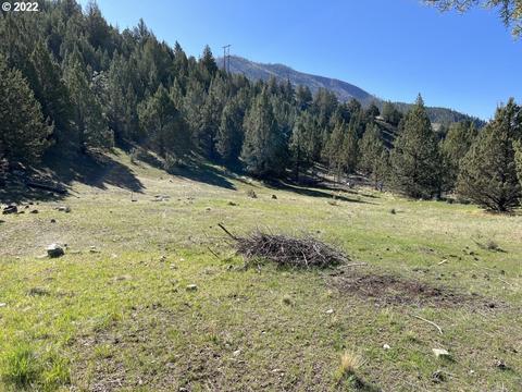 Patterson Dr, Canyon City, OR 97820