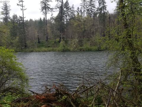 46705 Tuckwila St, Lyons, OR 97358 photo 1