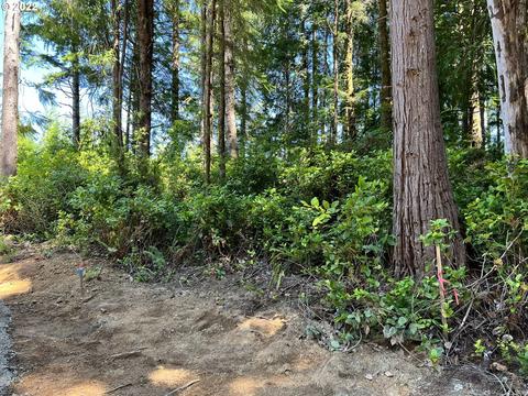 Little Woahink Dr, Florence, OR 97439