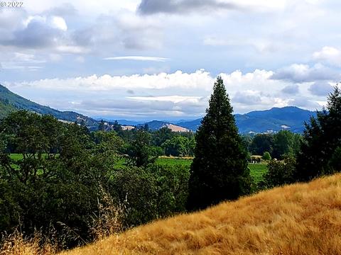 4276 Glenbrook Loop, Riddle, OR 97469 photo 1