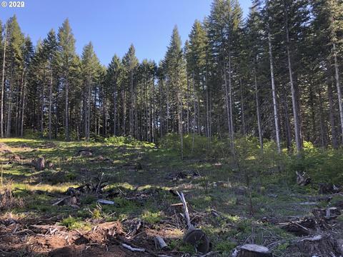 52 Moonshine Rd, Appleton, WA 98602 photo 1