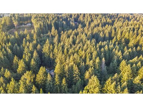 0 NE 46th St, Camas, WA 98607