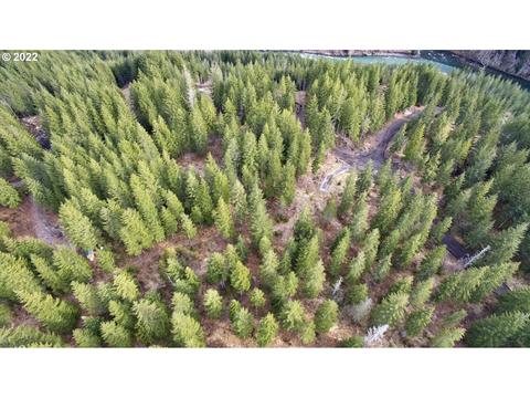 3 Loowit Ln, Cougar, WA 98616